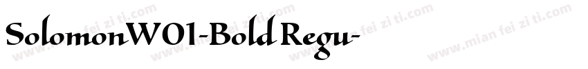 SolomonW01-Bold Regu字体转换